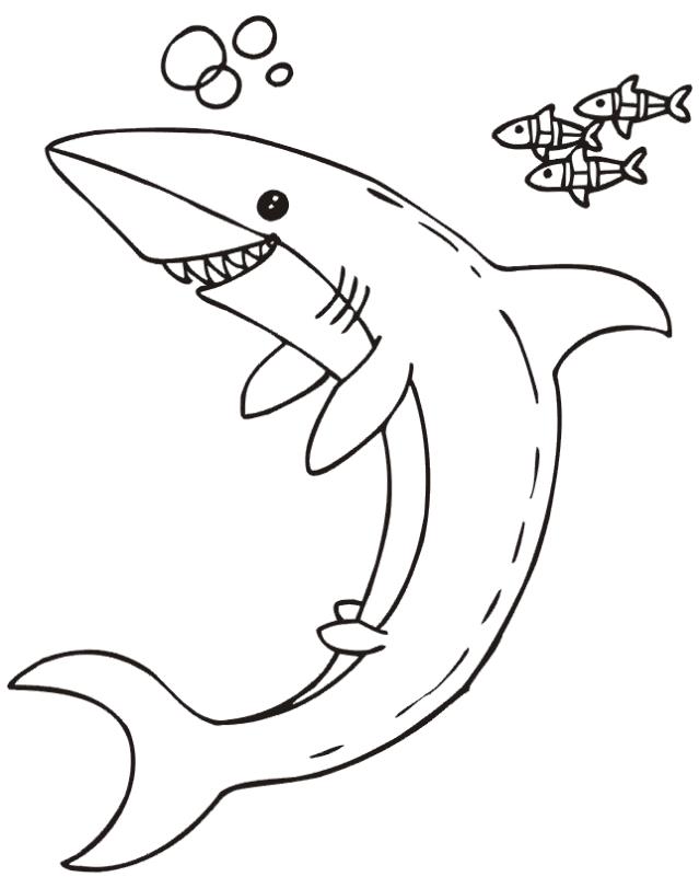 раскраски акула акулы   Акула и рыбки