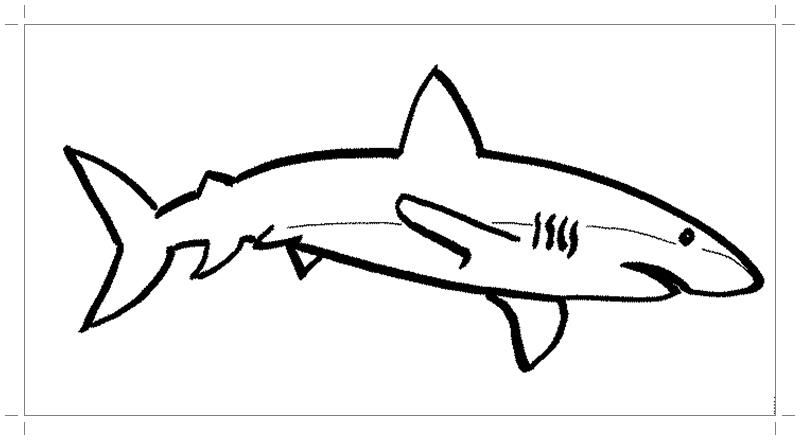 раскраски акула акулы   Акула
