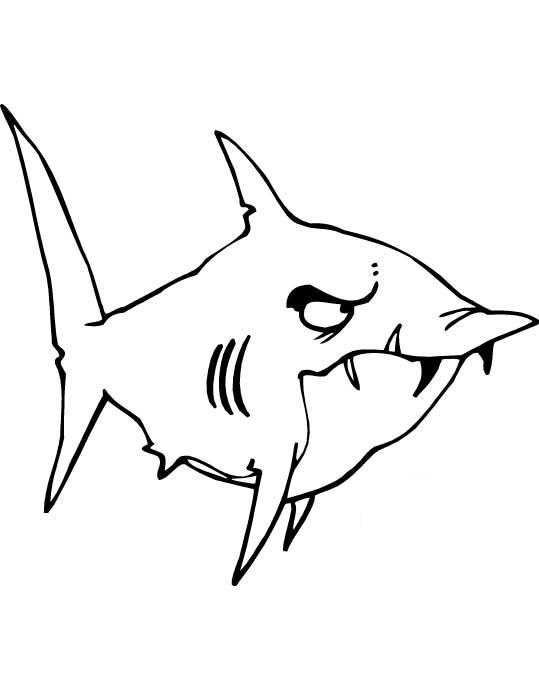 раскраски акула акулы   Злая акула с торчащими зубами