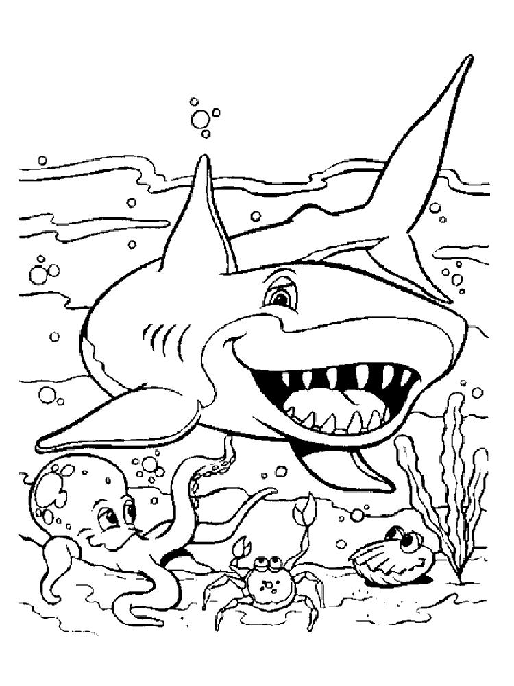 раскраски акула акулы   Акула, осьминог, рак и моллюск