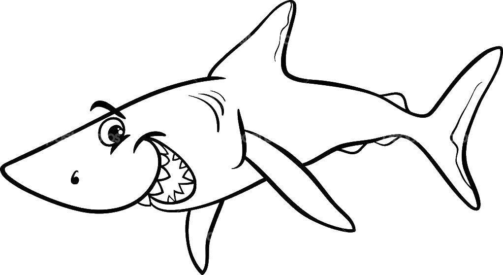 раскраски акула акулы   Акула улыбается
