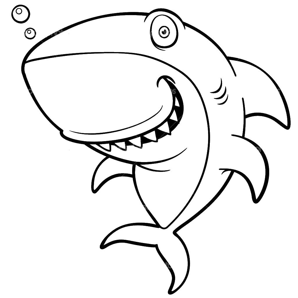 раскраски акула акулы   Прикольная акула