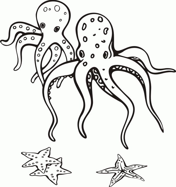 Раскраски осьминог осьминоги  Два осьминога и морские звезды
