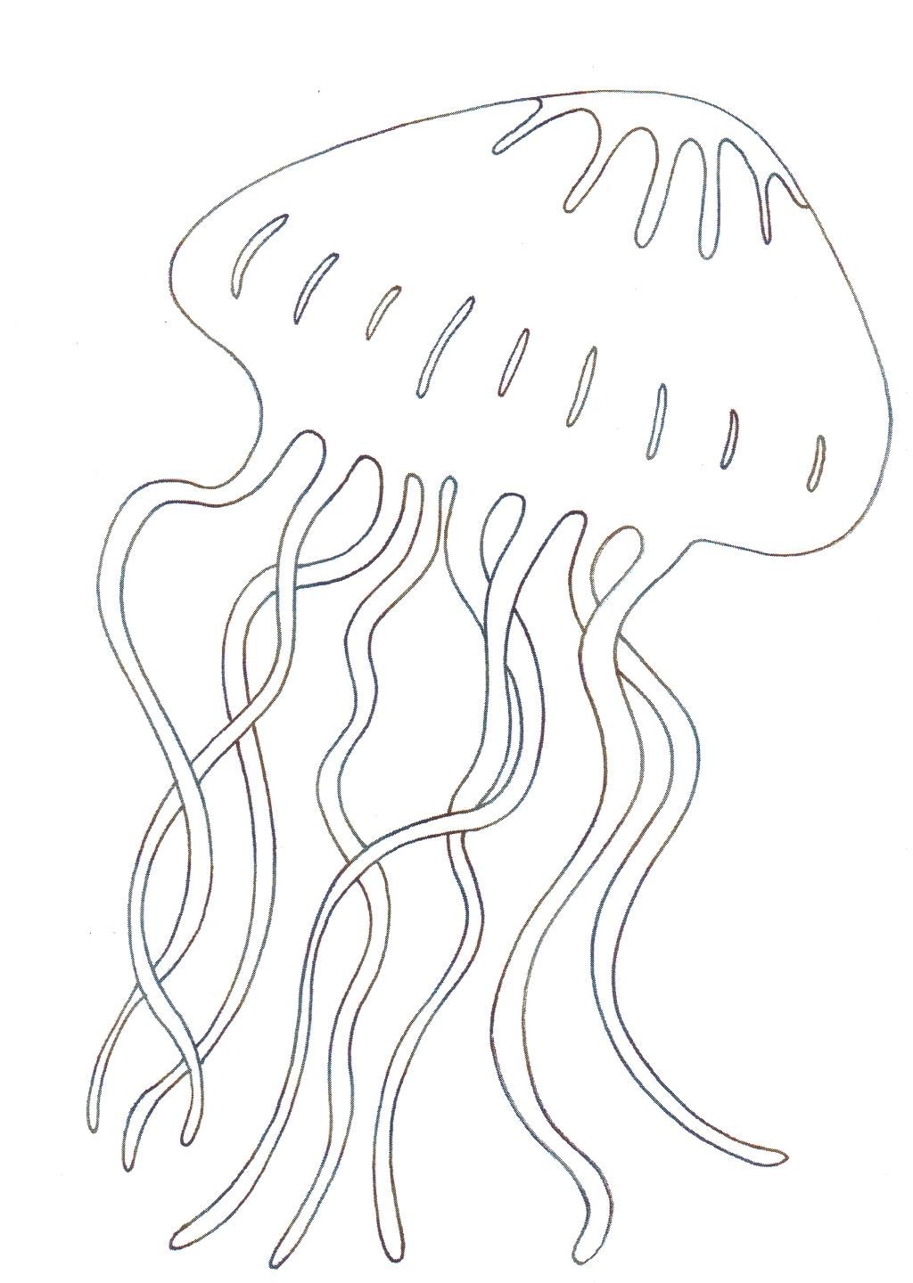 Раскраски медуза медузы  Медуза