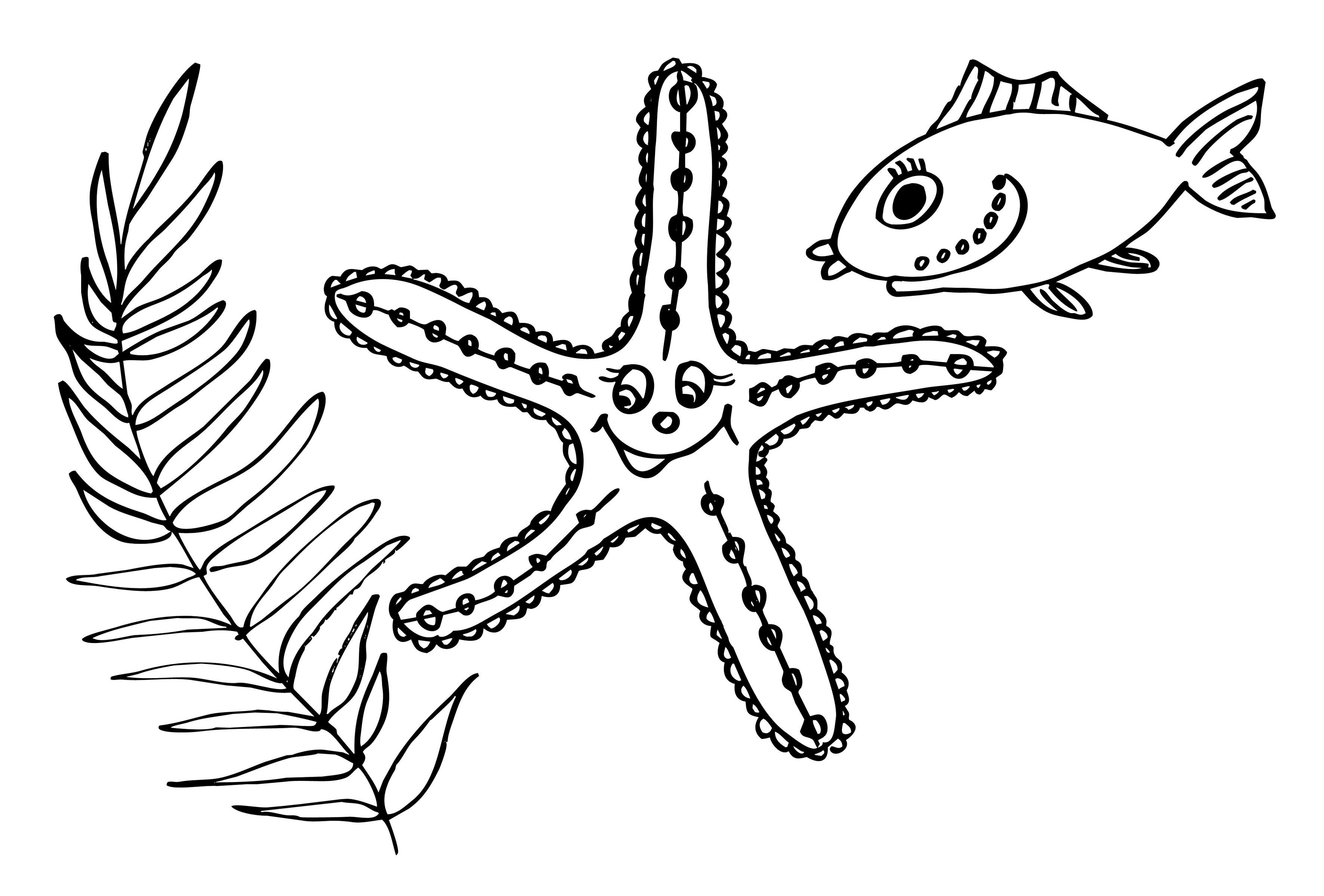 раскраска морская звездазвезды  Водоросль, морская звезда и рыбка
