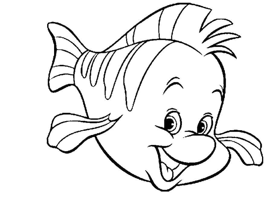 Раскраски про приключения рыбки Дори и его друзей.  Рыба