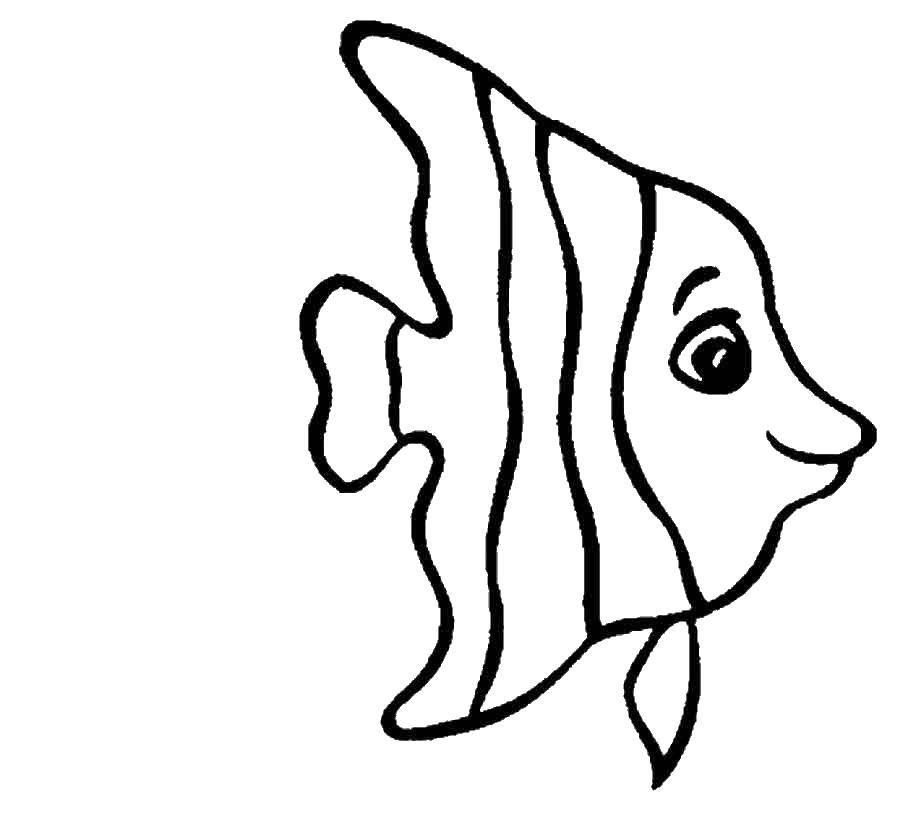 Раскраски рыба рыбы  Рыба