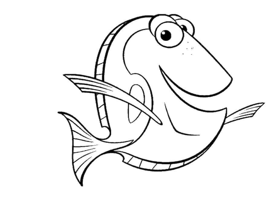 Раскраски про приключения рыбки Дори и его друзей.  Рыба