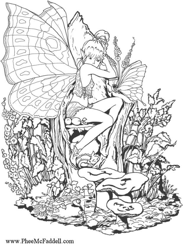 Раскраски с фея по зарубежным мультикам для девочек  Фея с бабочкой.