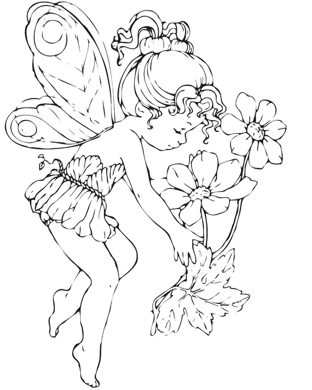 Раскраски с фея по зарубежным мультикам для девочек  Фея цветочки