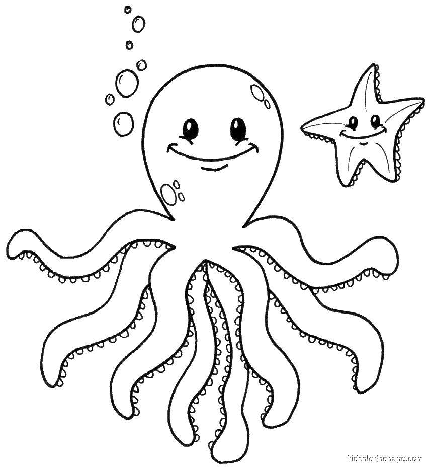 Раскраски осьминог осьминоги  Осьминог и морская звезда