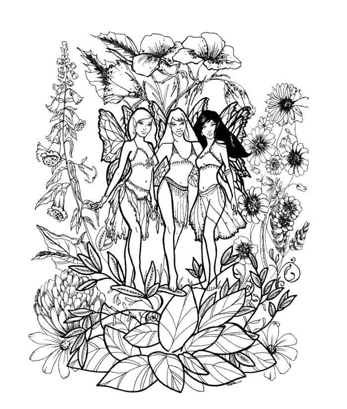 Раскраски с фея по зарубежным мультикам для девочек  Лесные эльфийки