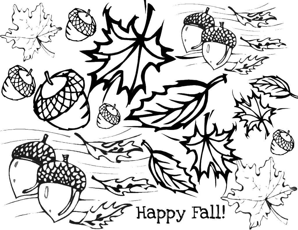 Раскраски осень для малышей, раскраски для детей, раскраски для школьников и подростков  Листья и желуди