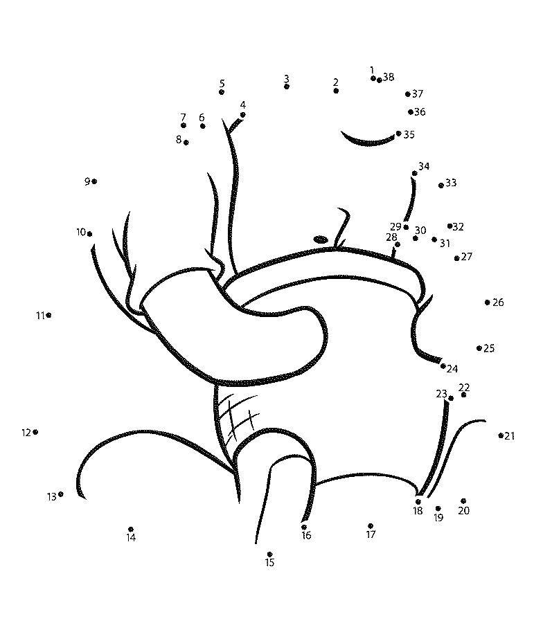 Раскраски из зарубежного мультфильма про Винни Пуха и его друзей для самых маленьких   Дорисуй винни пуха