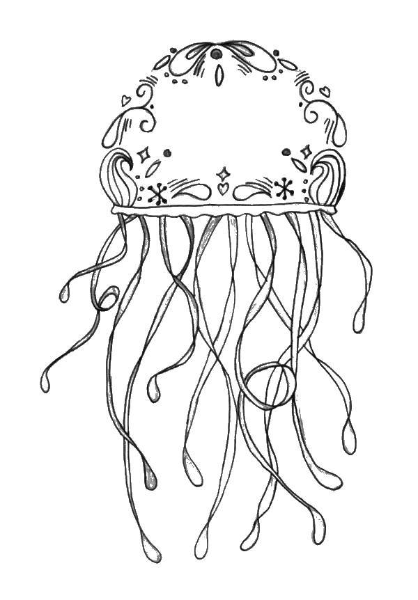 Раскраски медуза медузы  Медуза с узорами.