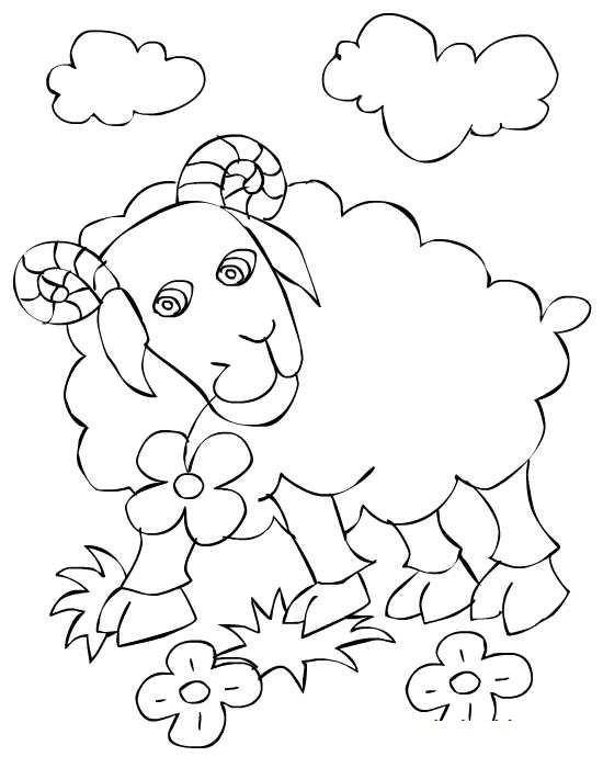 Раскраски с барашками для детей  Рисунок барана