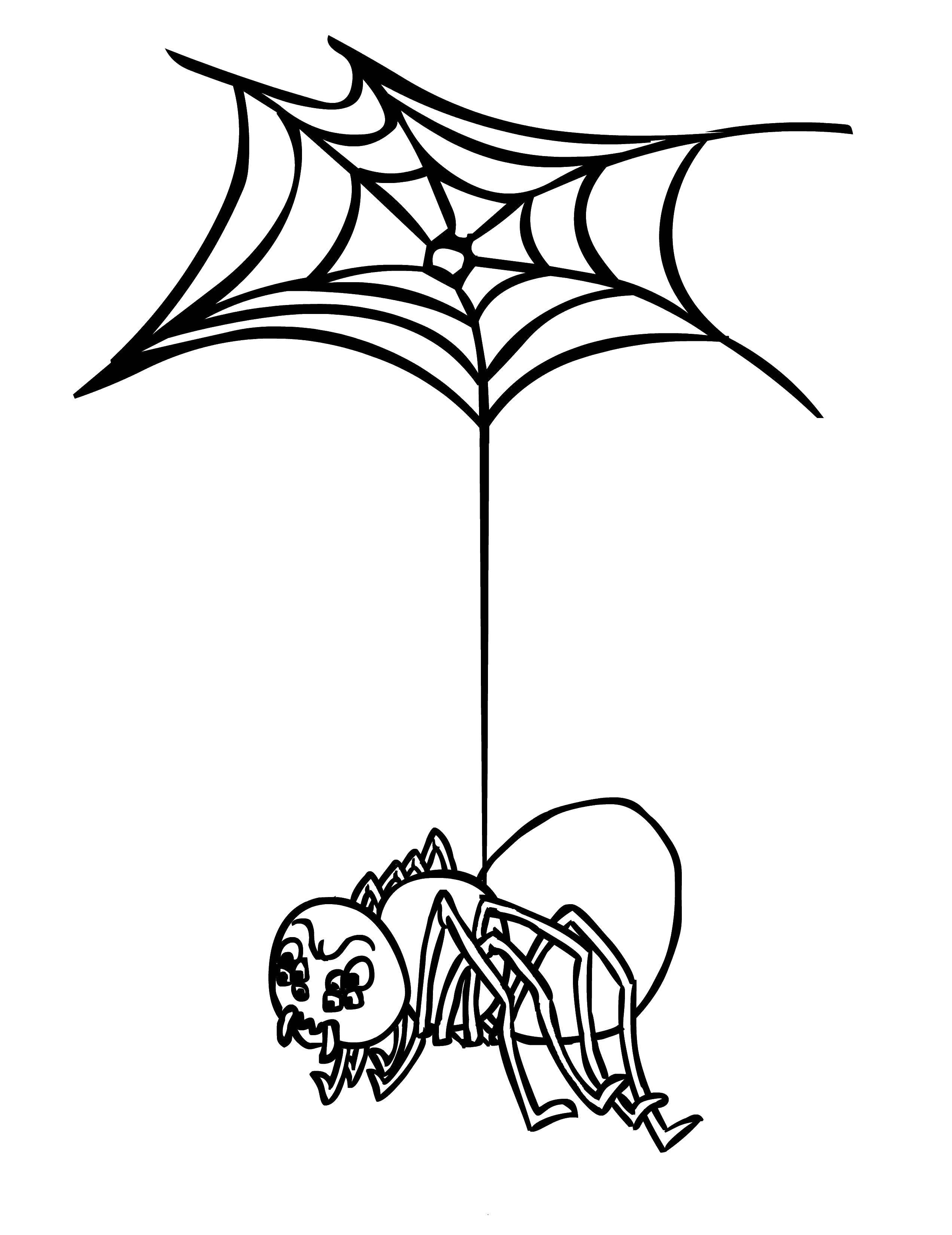 Раскраски пауки паук паучки  Паучок свисает на паутине