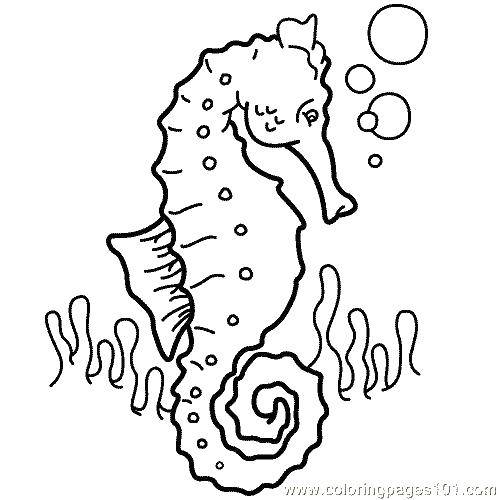 Раскраски медуза медузы  Морской конек.