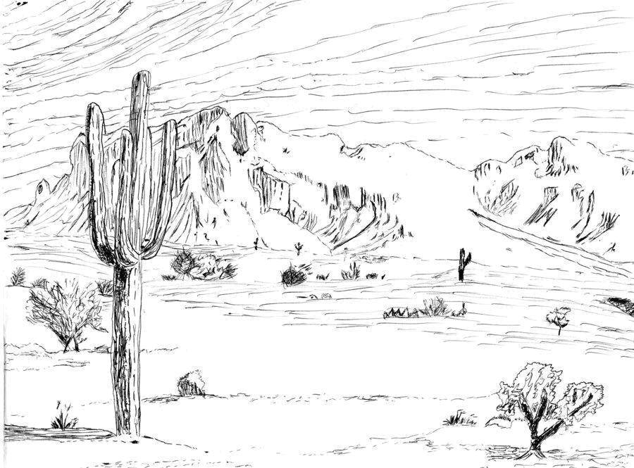  Пустыня с кактусами Кактусы в пустыне.
