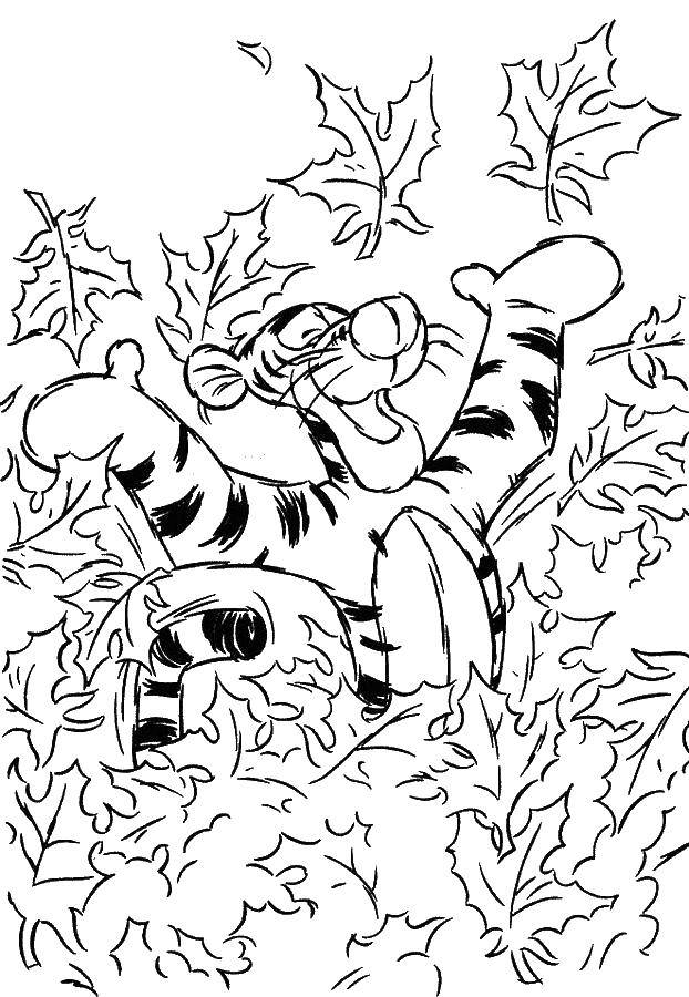 Раскраски из зарубежного мультфильма про Винни Пуха и его друзей для самых маленьких   Тигра в листве