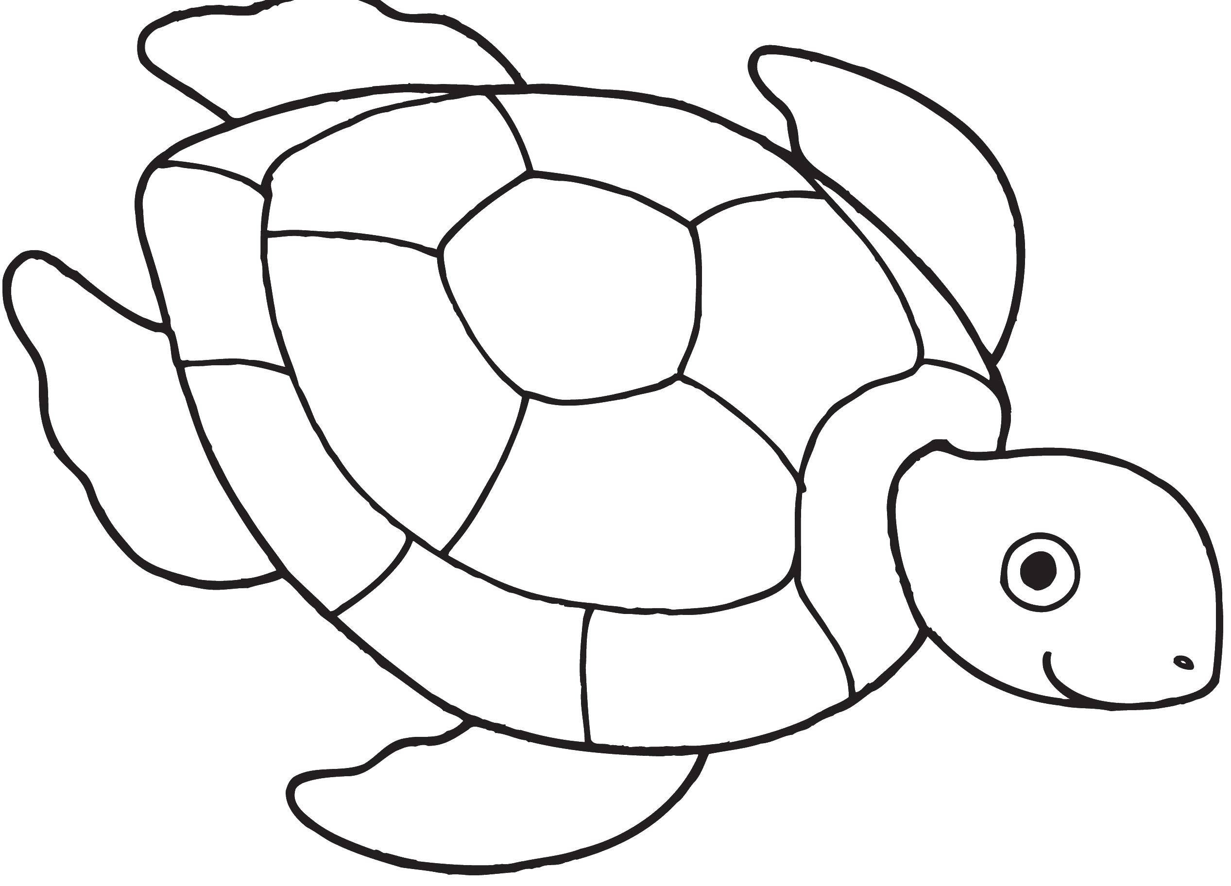 Раскраски Черепаха черепашка  Черепашка счастлива
