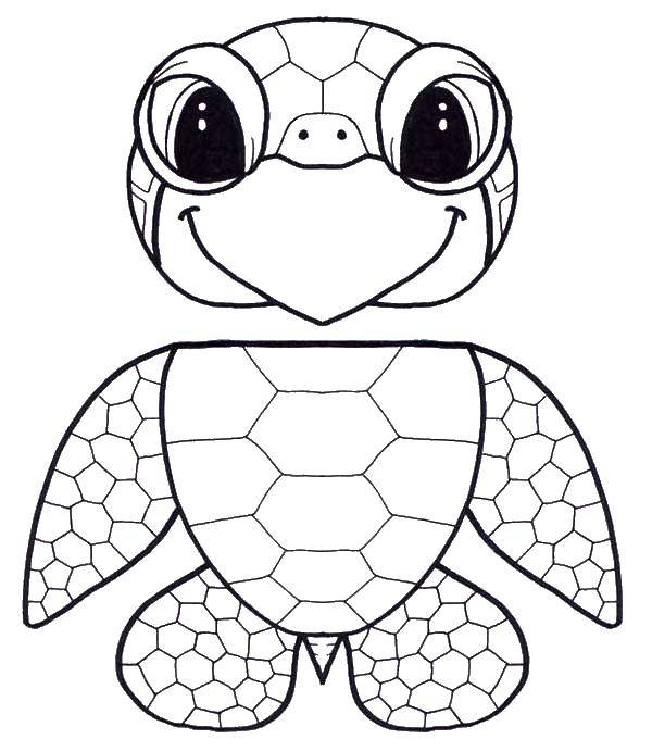 Раскраски Черепаха черепашка  Черепашонок.