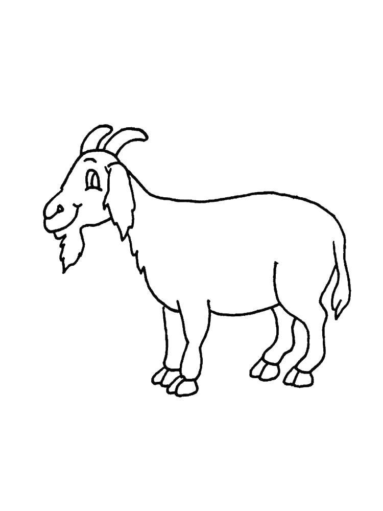  Козел