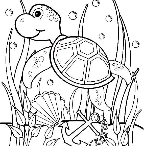 Раскраски Черепаха черепашка  Морская черепашка плавает у водорослей
