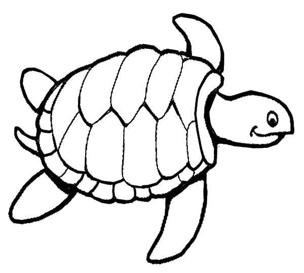 Раскраски Черепаха черепашка  Счастливая морская черепаха.