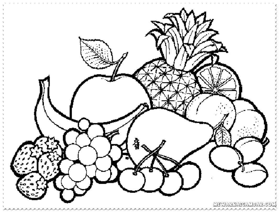 Раскраски ягоды малина вишня арбуз вишня крыжовник  Фрукты и ягоды.