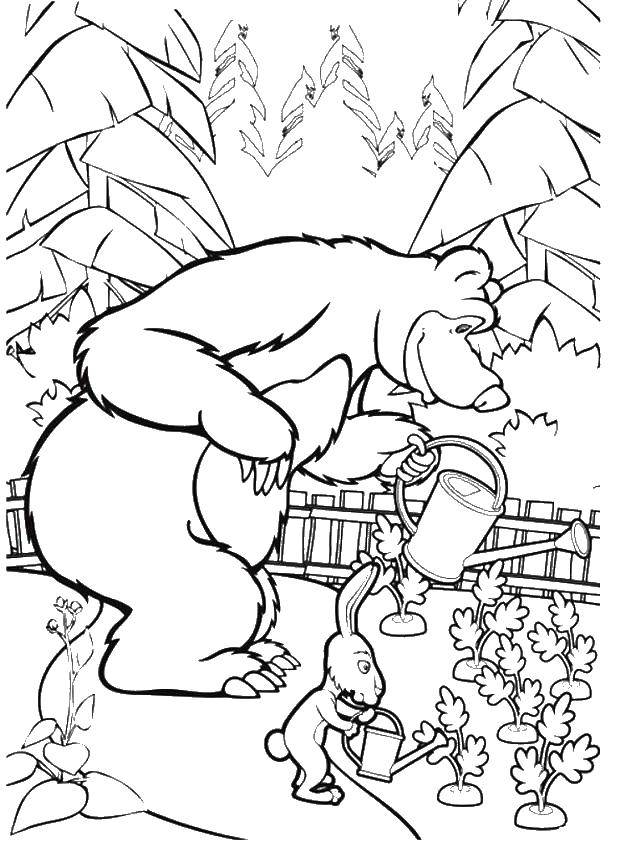 Раскраски для детей про озорную Машу из мультфильма Маша и медведь  Медведь и зайчик полевают огород