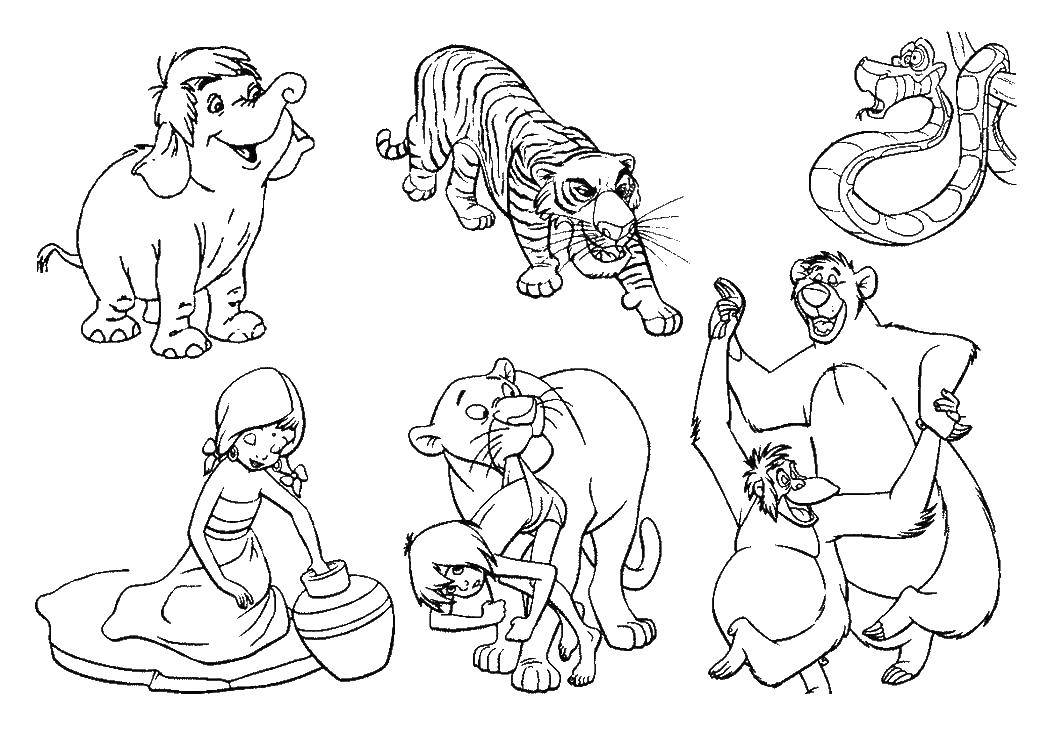 Раскраски с Маугли  для детей  Персонажи мультика маугли