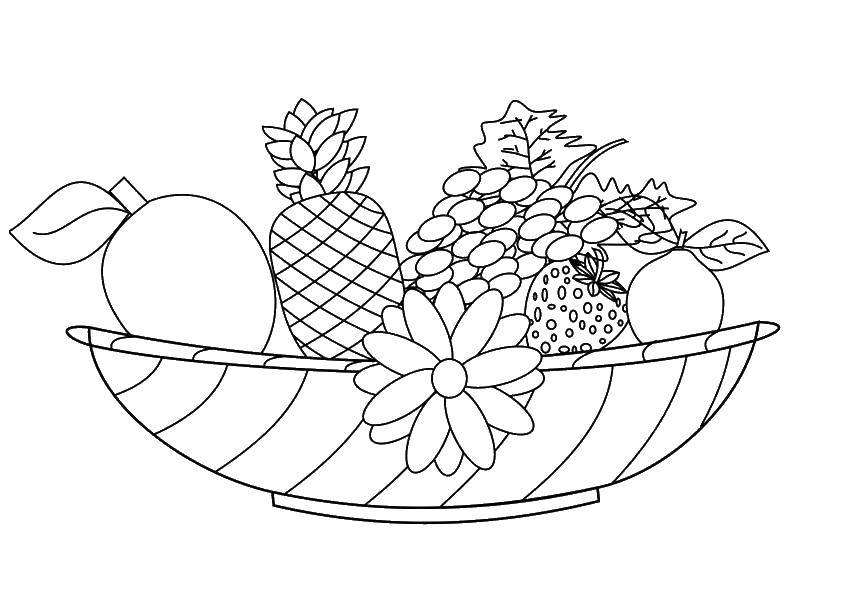 Раскраски ягоды малина вишня арбуз вишня крыжовник  Ягоды, фрукты и цветочек