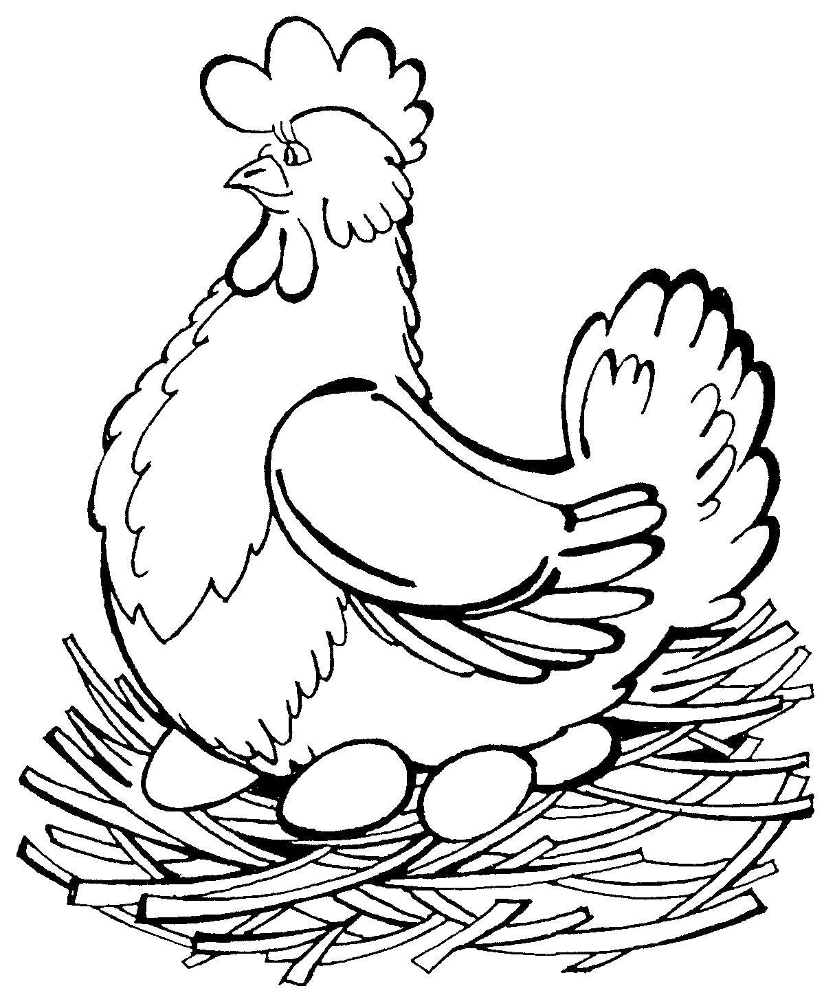 Раскраски птиц курица  петух яйцо цыпленок  Курица снесла яйца в гнезде