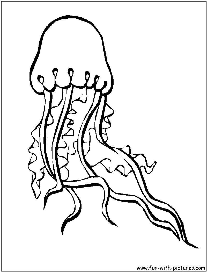 Раскраски медуза медузы  Электрическая медуза