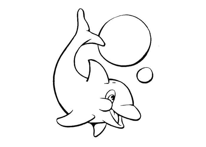 Раскраски дельфины дельфин   Игривый дельфинчик