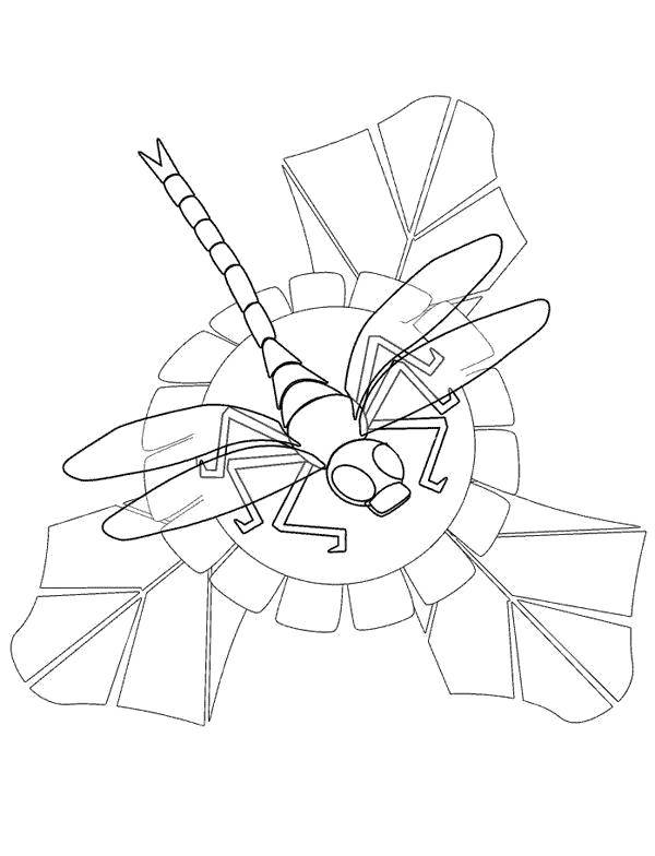 Раскраски стрекоза стрекозы  Стрекоза на цветке