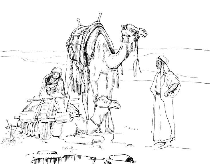 Семья путешествует по пустыни на верблюдах
