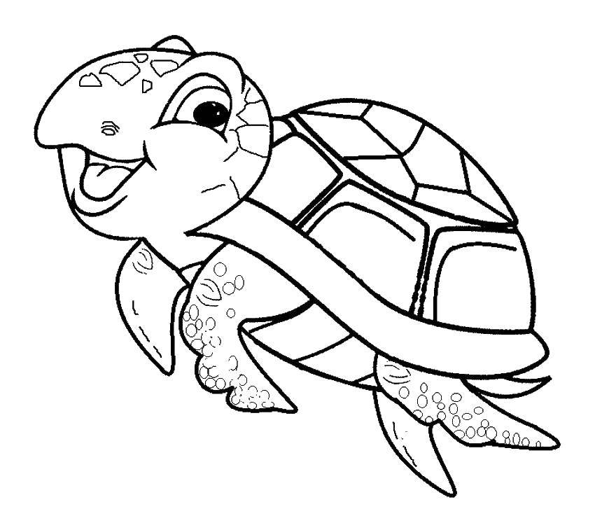 Раскраски Черепаха черепашка  Морская черепашка улыбается