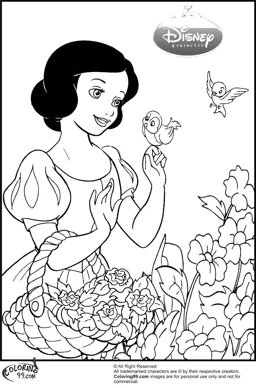 Раскраски про Белоснежку для девочек.  Белоснежка с птицами и цветами