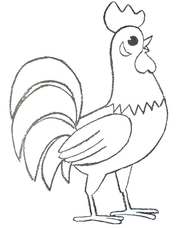 Раскраски птиц курица  петух яйцо цыпленок  Милый петух
