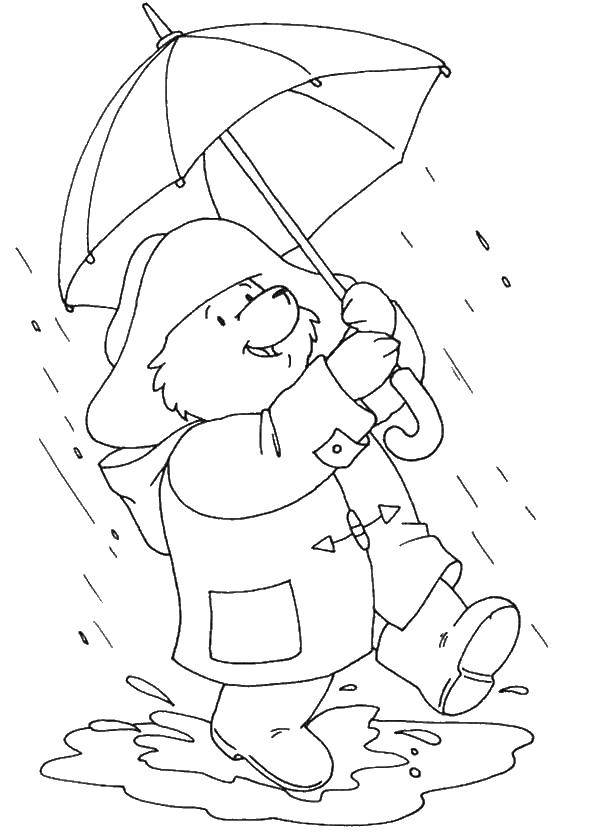 Раскраски из зарубежного мультфильма про Винни Пуха и его друзей для самых маленьких   Винни пух под зонтом