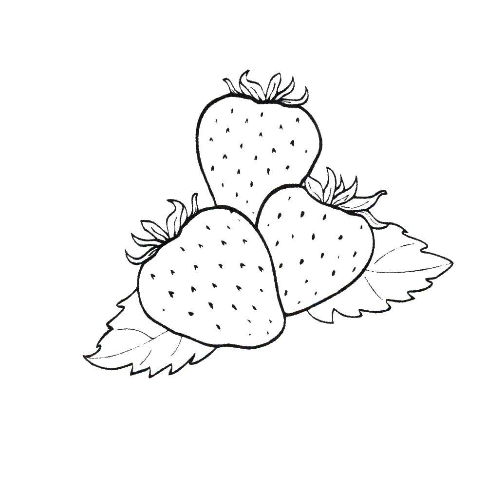 Раскраски ягоды малина вишня арбуз вишня крыжовник  Три клубнички