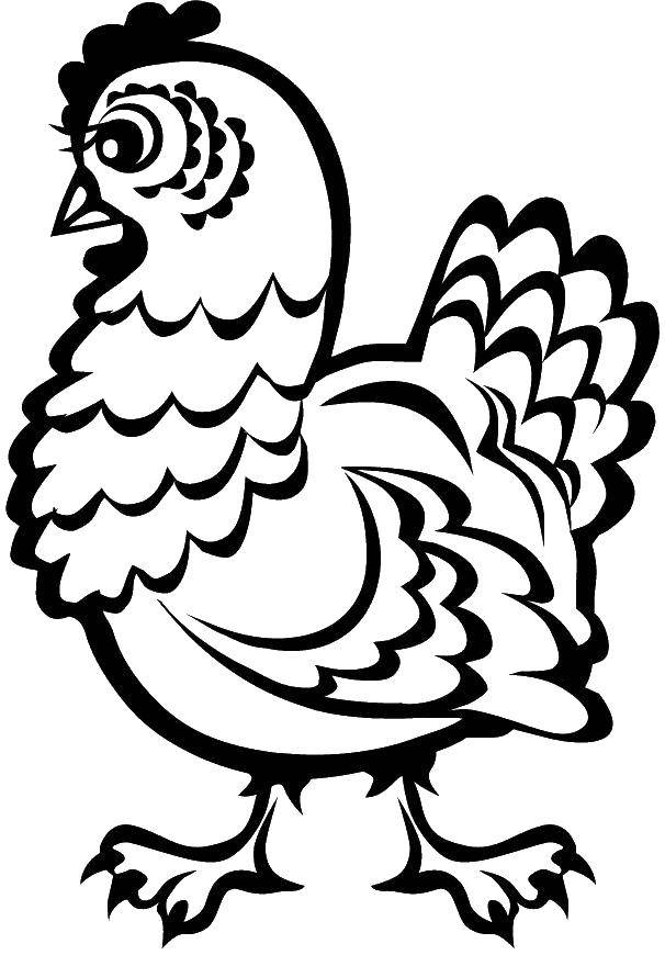 Раскраски птиц курица  петух яйцо цыпленок  Курица с ресничками