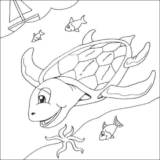 Раскраски Черепаха черепашка  Черепашка в море
