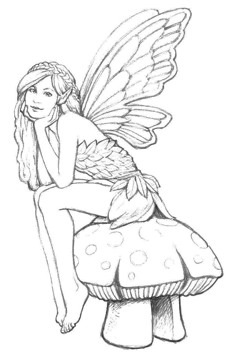 Раскраски с фея по зарубежным мультикам для девочек  Фея сидит на грибочке