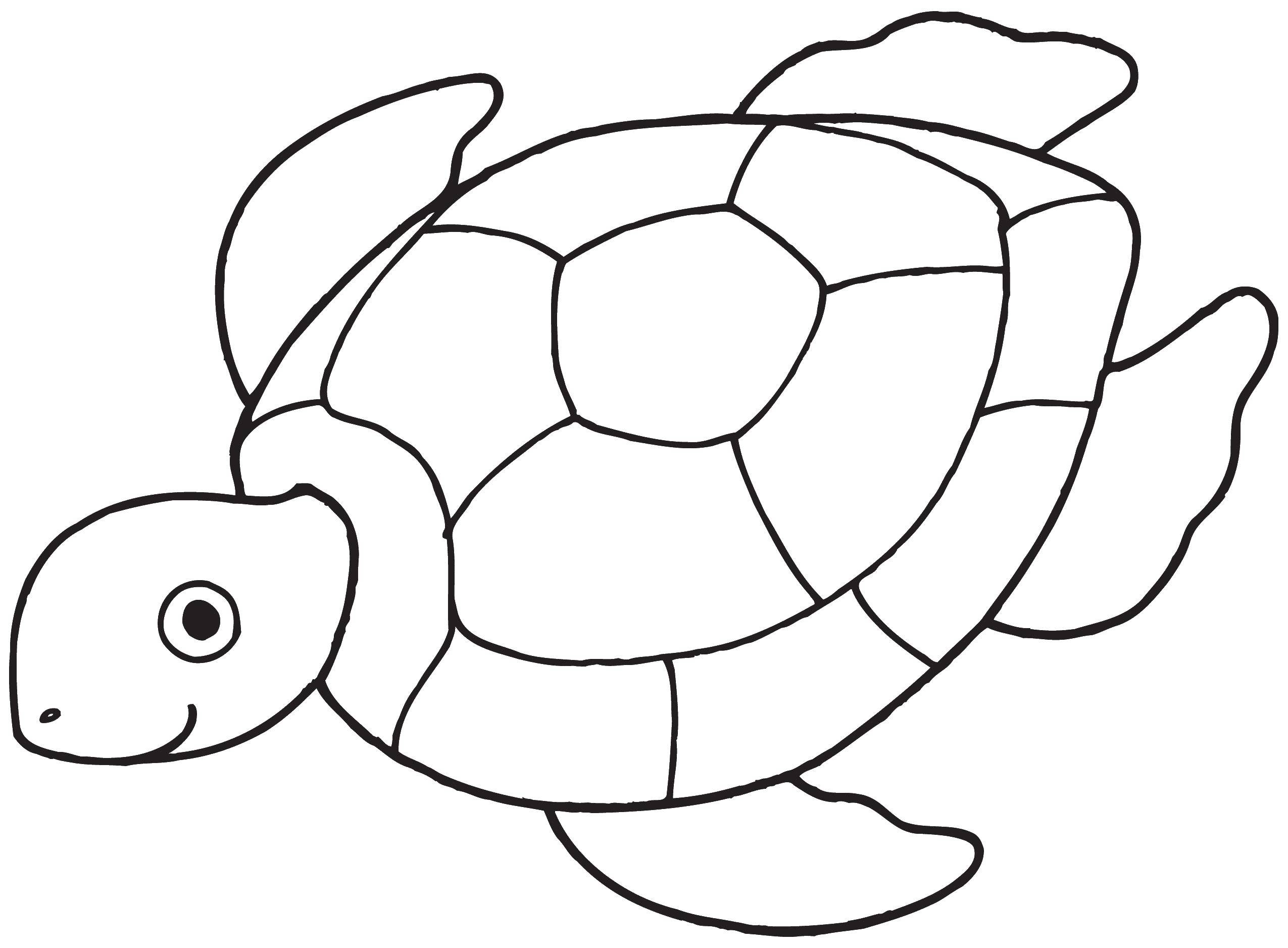 Раскраски Черепаха черепашка  Плавающая черепаха