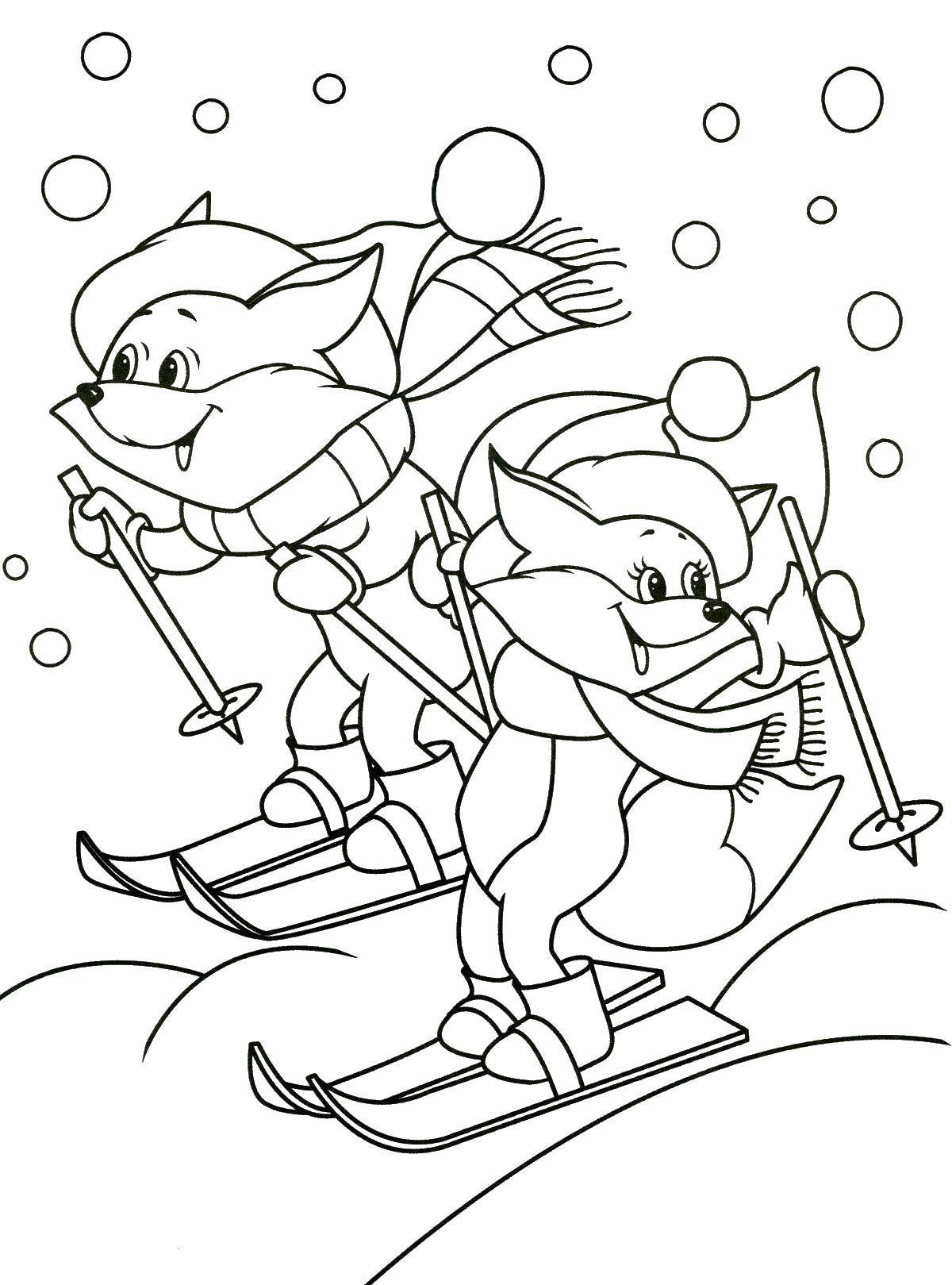 Раскраски зима время года  Лисички на лыжах