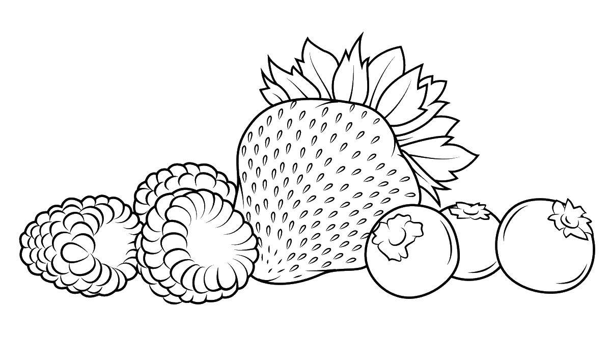 Раскраски ягоды малина вишня арбуз вишня крыжовник  Клубничка, малина и смородина
