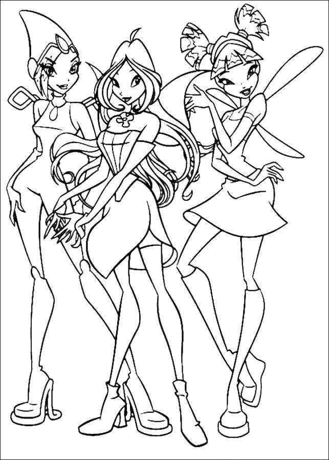 Раскраски для девочек по мультфильму Винкс  Муза, текна и блум из мультфильма winx